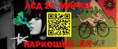 гашик Славгород
