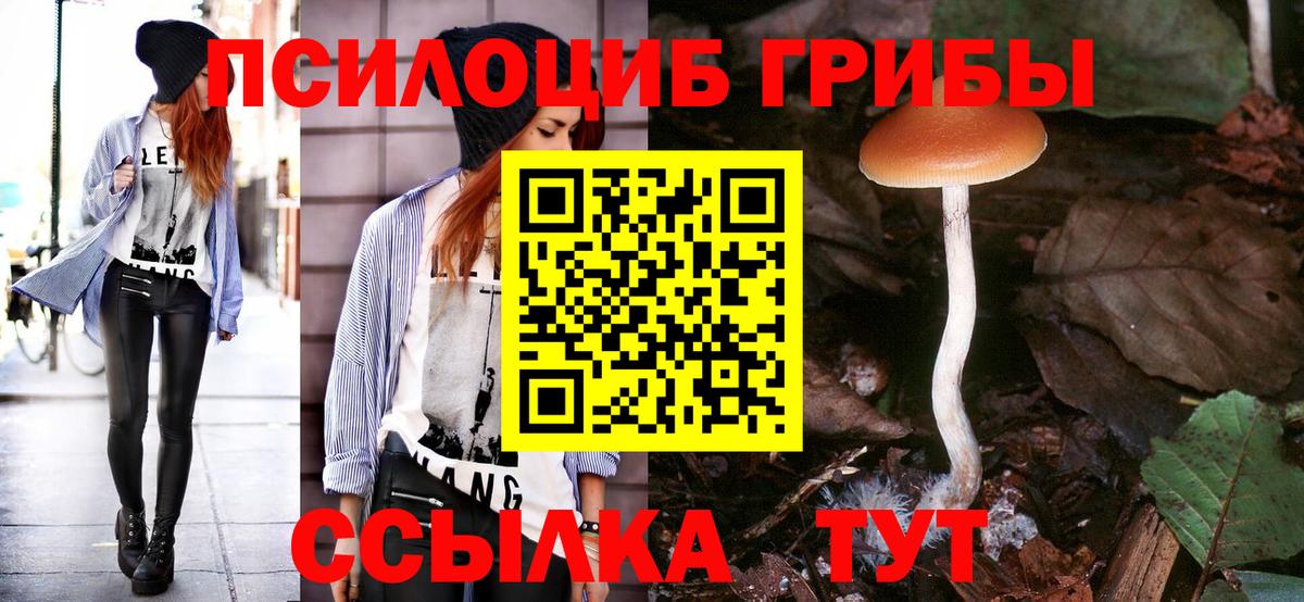 Новодвинск  наркотики  Вход с VPN  Галлюциногенные грибы MAGIC MUSHROOMS  Псилоцибиновые грибы Psilocybine cubensis 